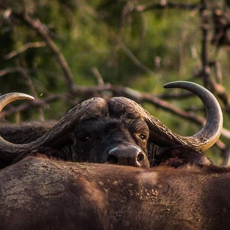 Mpeti Lodge Mkuze Εξωτερικό φωτογραφία
